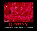 Destiny
