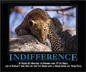 Indifference